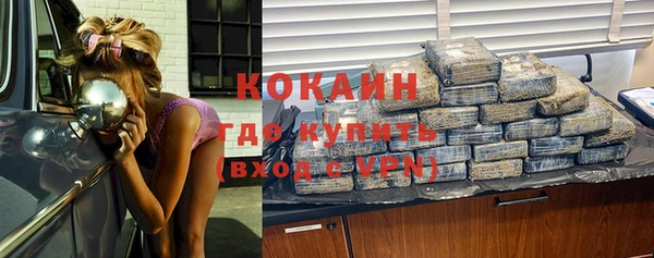 крисы Магадан