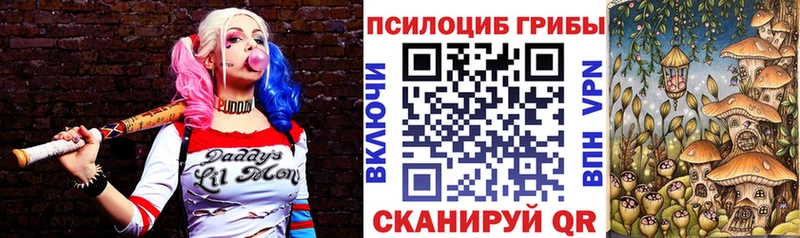 Купить  Сызрань  Галлюциногенные грибы MAGIC MUSHROOMS 